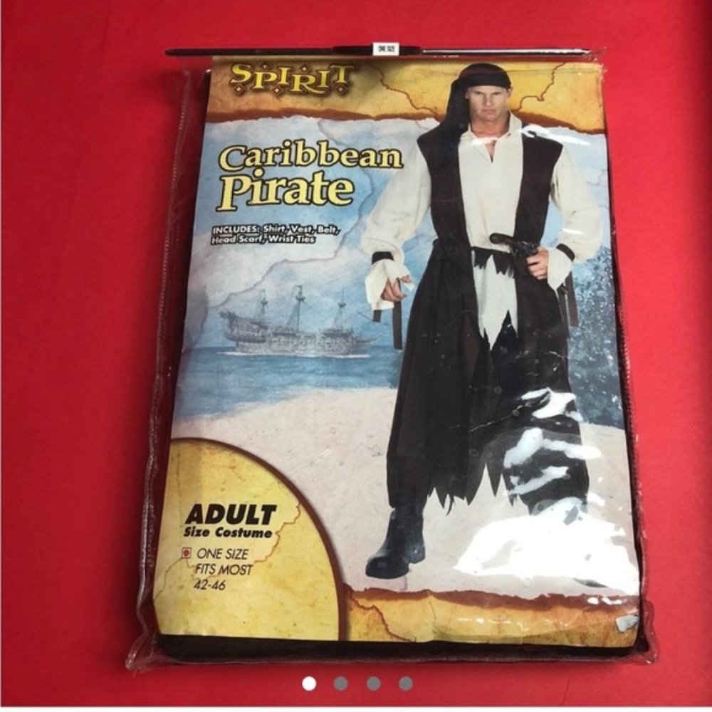 Caribbean pirate costume ??????